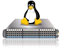 Linux Virtual Server