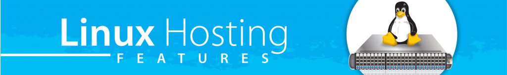 Best Web Hosting